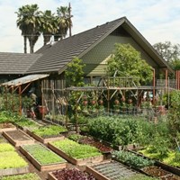 Портфолио Homestead.org